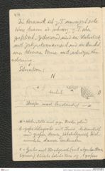 Seite 65, Tagebuch "Stein a/Donau | hinten Landersdorf" (NHMW-PRAE-BBB-34)